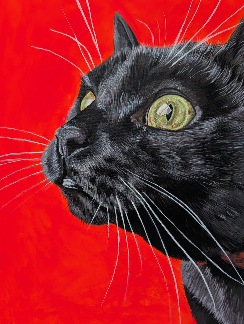 Close-up acrylic painting commission of a black cat with green eyes on a red background by Kathryn Rose Art