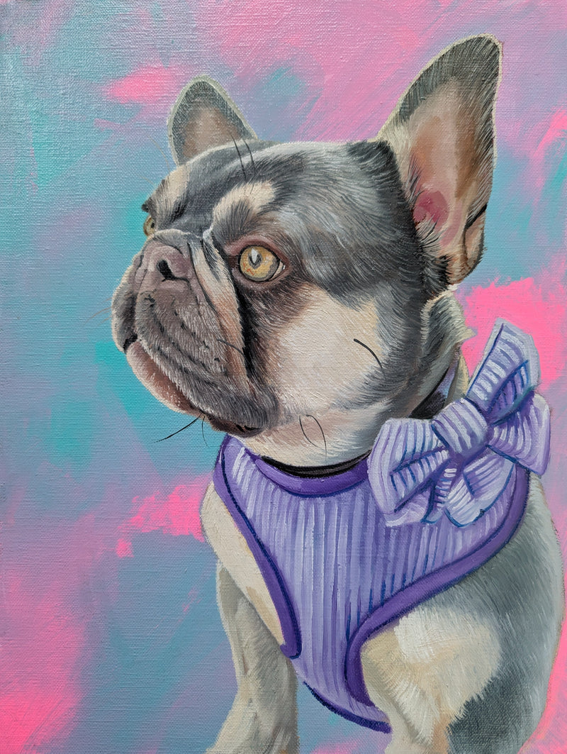 Oil painting of a blue french bulldog on a colourful background created by Kathryn Rose Art